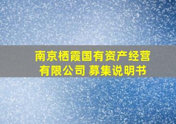 南京栖霞国有资产经营有限公司 募集说明书